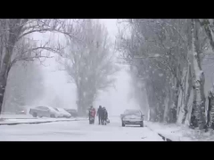 وسادة تسخين الكتف والرقبة المزنة مع وظيفة الأشعة تحت الحمراء والأيونات السلبية